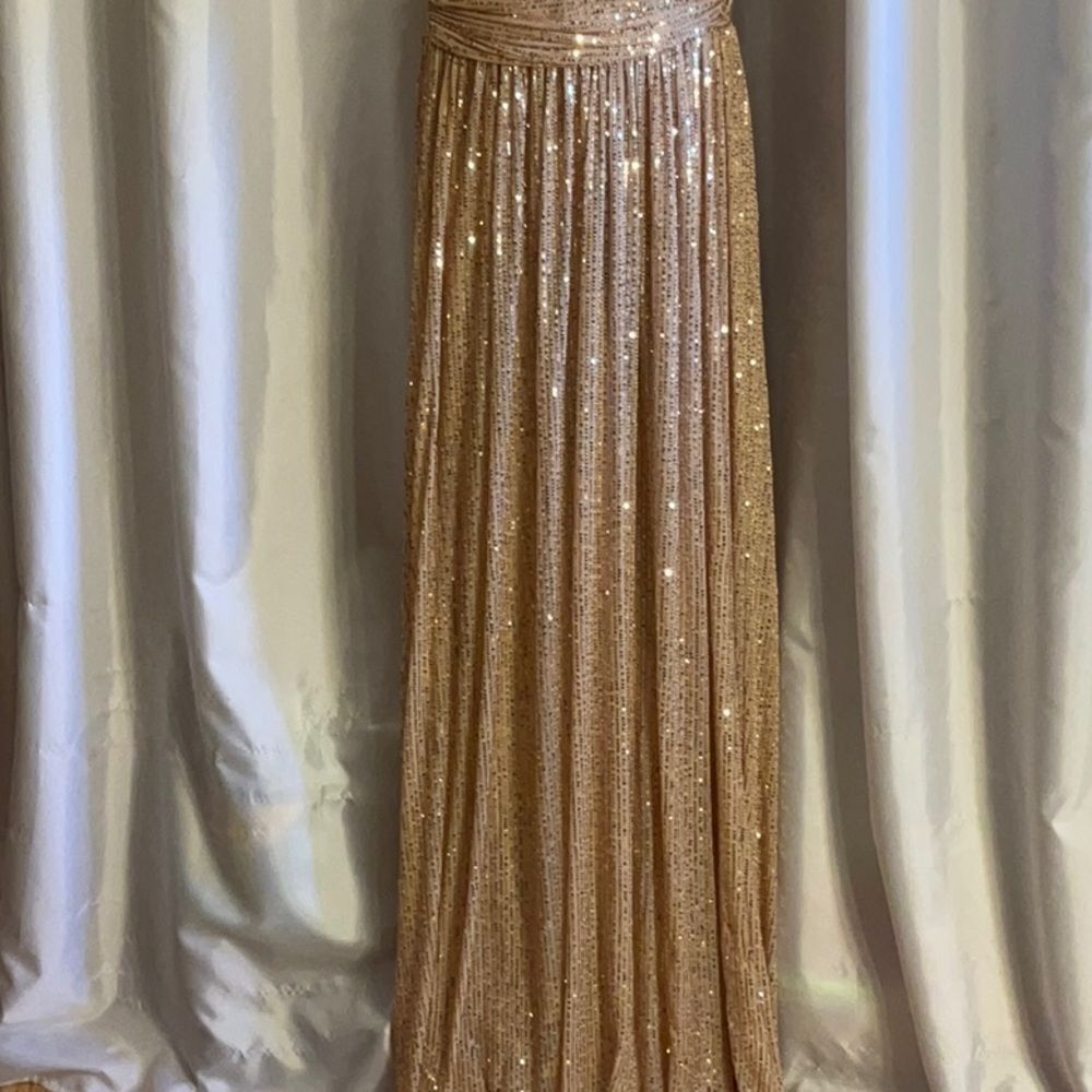 ALISA & LEO nude colored gown with gold to pinkish colored sequins all over 15JR - Picture 4 of 16